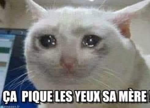 CarmellleG's tweet photo. @Silverxghostt @Miminouche17 @JeanMessiha 😵‍💫 https://t.co/54M4HvlFWB