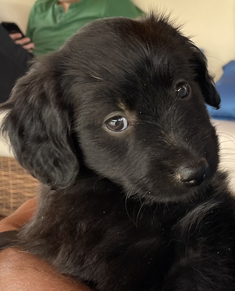 La nuestra se llama Eder.