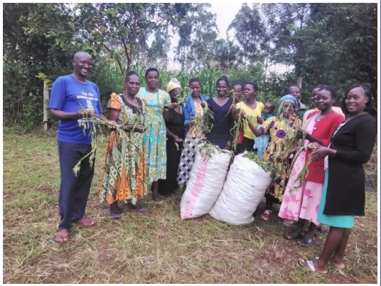 They start by watching animations on TV, then practice what they learned on the farm. Back in the Mung'ang'a community, the team has adopted a unique way of accessing and implementing SAWBO animations. Read more here tinyurl.com/7wzthtvf