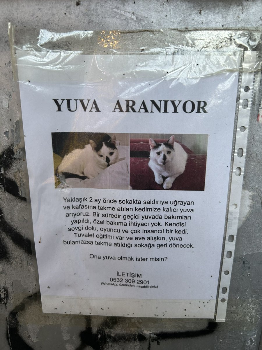 bebopingu's tweet photo. bugün böyle bir ilan gördüm şiddet mağduru bebek yuva arıyormuş
Ankara 🙏 https://t.co/0lLfY8RTNl