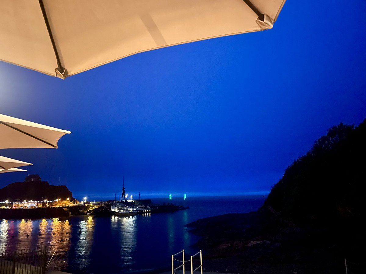 Wiseview tweet media