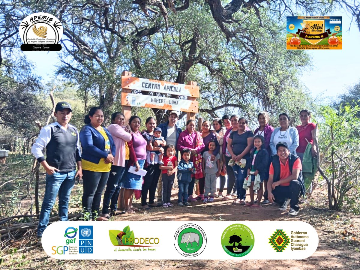 PRODECO_BOLIVIA's tweet image. ¡Celebrando el emprendimiento femenino y la sostenibilidad ambiental en Copere Loma! 
Nuestro director de PRODECO realizó una visita para monitorear y valorar los avances del proyecto "Inciativas Femeninas de Aprovechamiento Sostenible de la biodiversidad del Bosque"#PNUD #Prodec