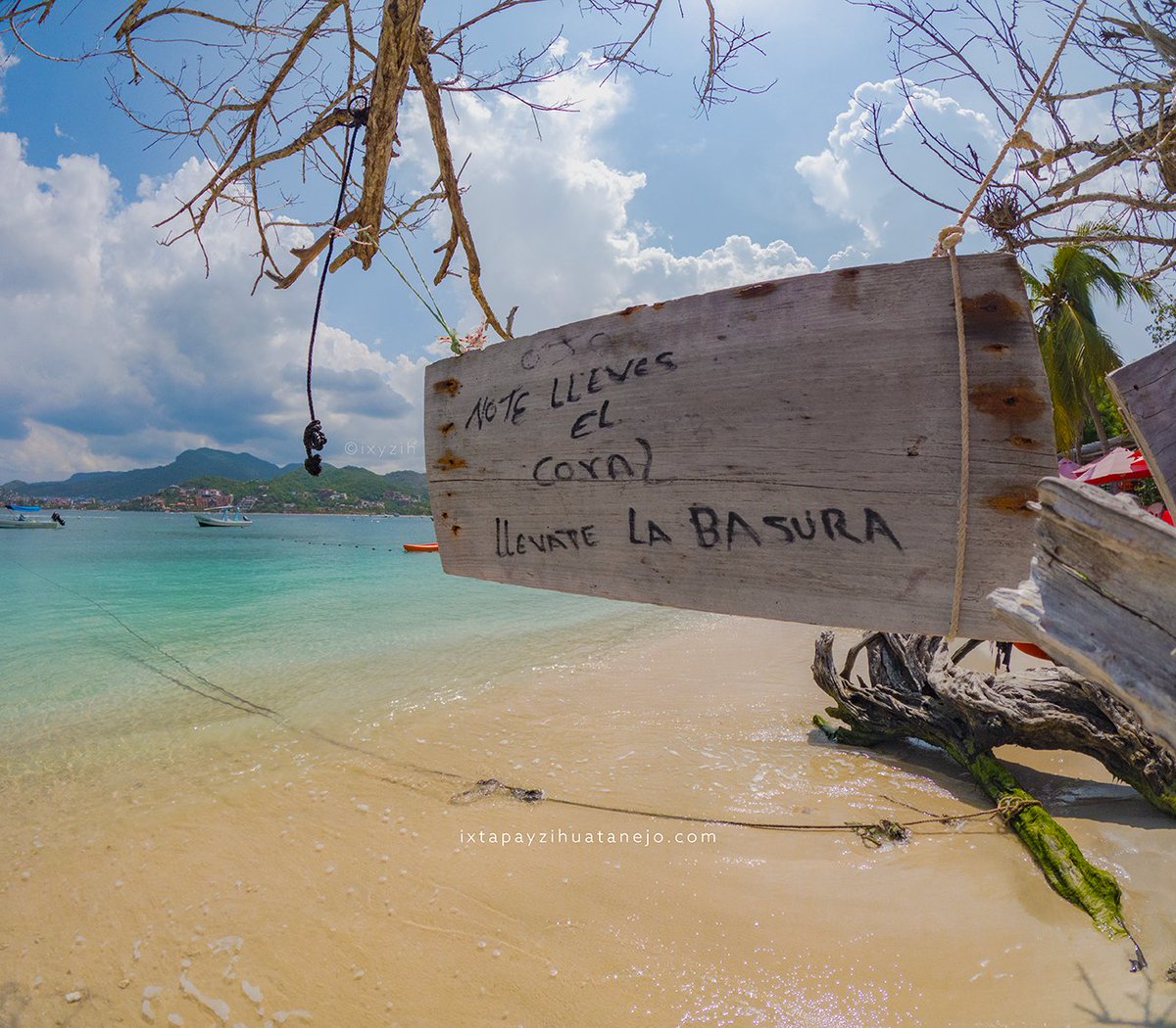 ixyzih's tweet photo. No te lleves el coral... llévate la basura. 🪸  #Zihuatanejo https://t.co/N6vMoNLiTx