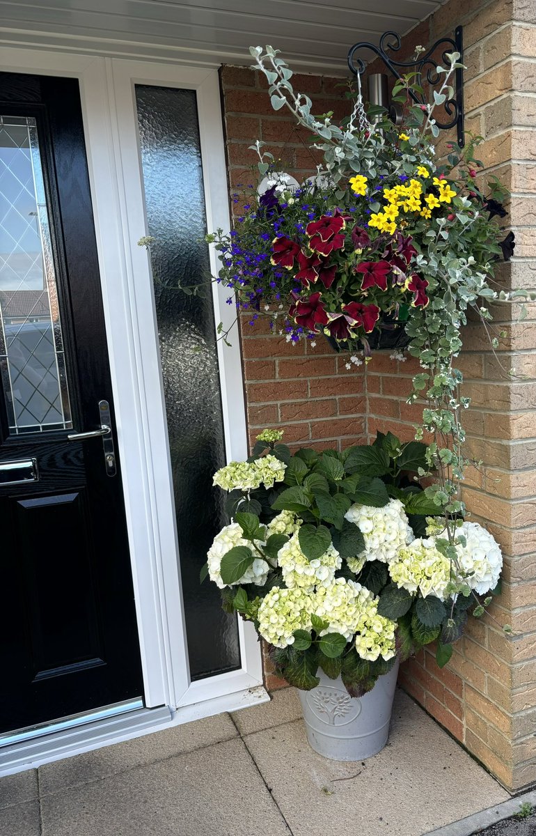 G20MUS's tweet photo. @AnkurMuk Thanks Ankur, this is my front entrance. Lots of pleasure gained from the garden 😊 https://t.co/8Q8cnYK6TL