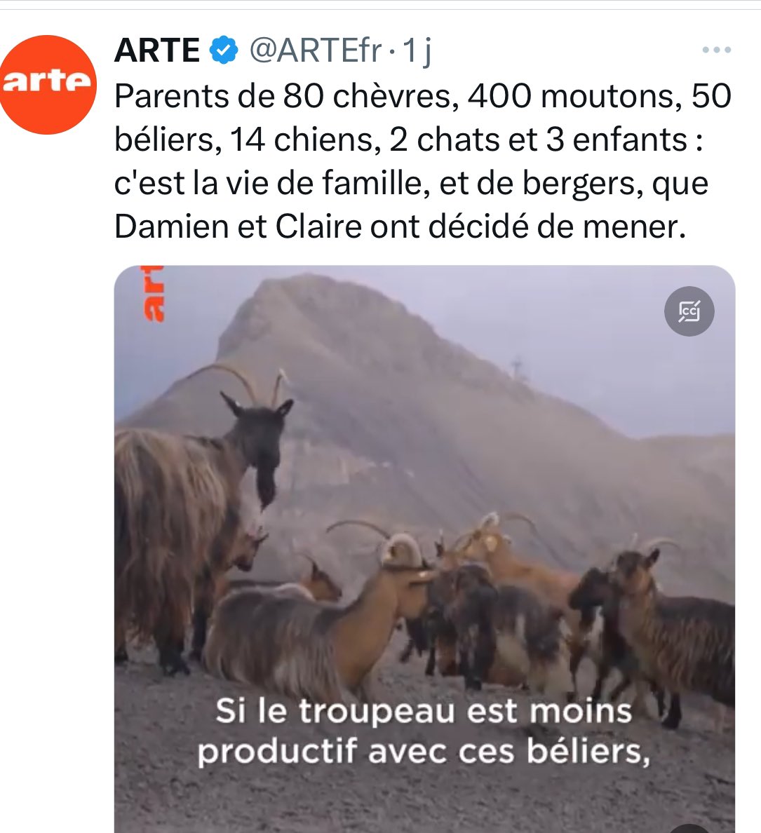 alexa2Ba's tweet photo. Déception
j’attendais un reportage sur l’#IhuMiGate avec #CabrièrGate et #TeamRaoultGate
😂 https://t.co/l21mXe6eHK