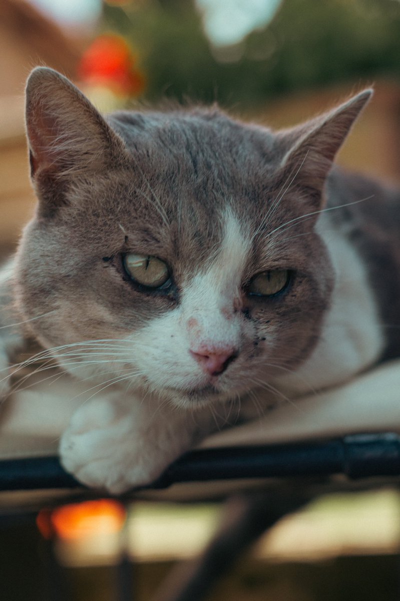 DMY033's tweet image. Привез несколько фотографий из Италии