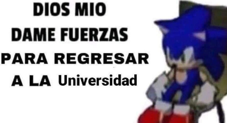 memes feos yo qué sé (@memefeos) on Twitter photo 