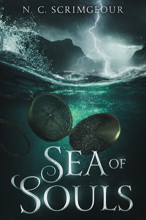 scrimscribes's tweet photo. Pitch your book poorly &amp; share your cover:

Problem child returns home after years at sea to find herself embroiled in family drama and a quest that demands she joins forces with her worst enemy. Also, seals are not as cute as they look. 🦭🌊✨ https://t.co/dKyaC6WY6f