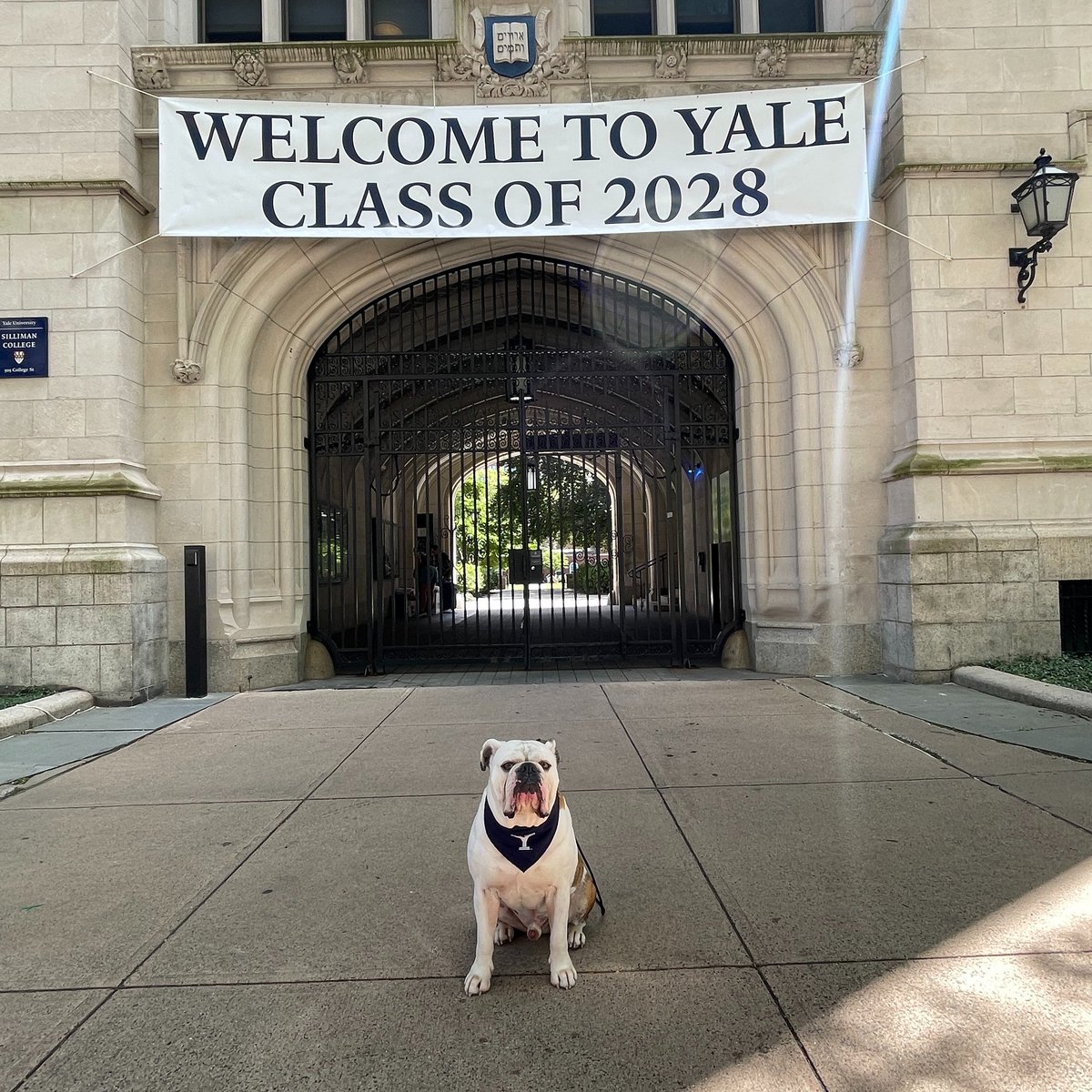 HandsomeDanYale's tweet photo. Welcome to Yale and happy move-in day! I can't wait to meet you and go on this wonderful journey with you! Boola Boola!!! #Yale #Classof2028 https://t.co/fAQEAaJJFx