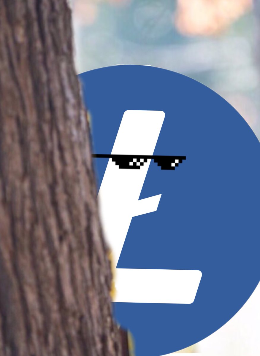 litecoin's tweet image. Hmm, what should the next crypto ETF be?