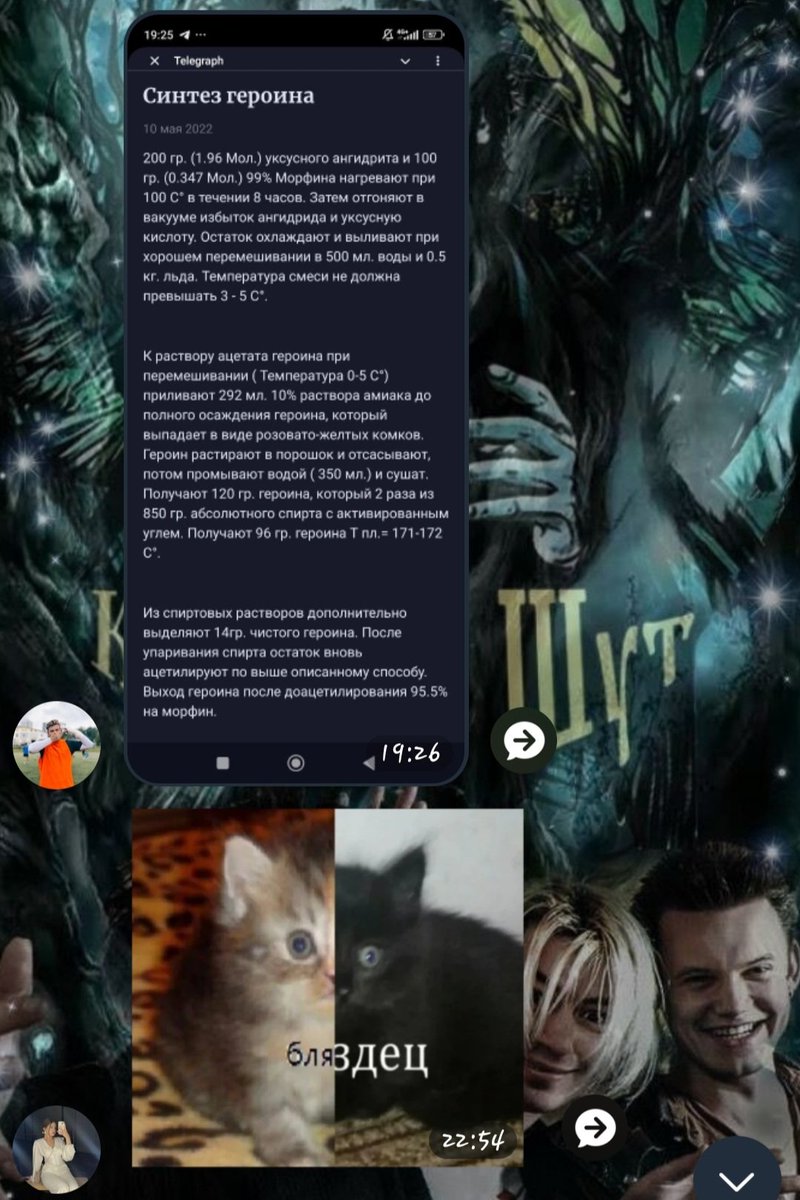просто живое существо📖🌿 tweet media