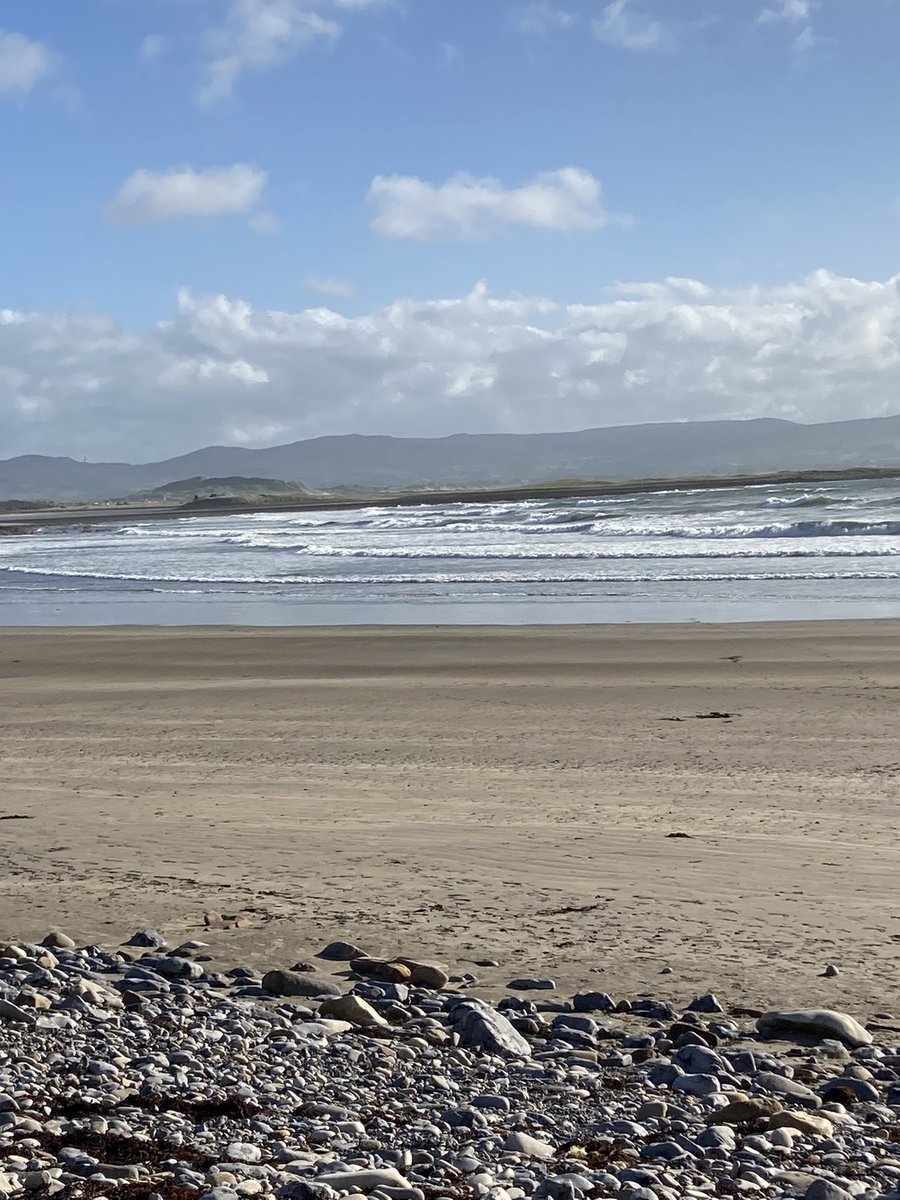 Elaine Mooney tweet media