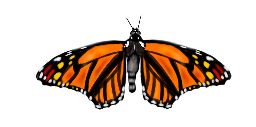 Hey Twitter 👋 just a little favor to ask. My birthday is next week. I would just like to get a few retweets of my butterfly 🦋 . Just to get my artwork out there 🙂🙂🙂 thank you 😊