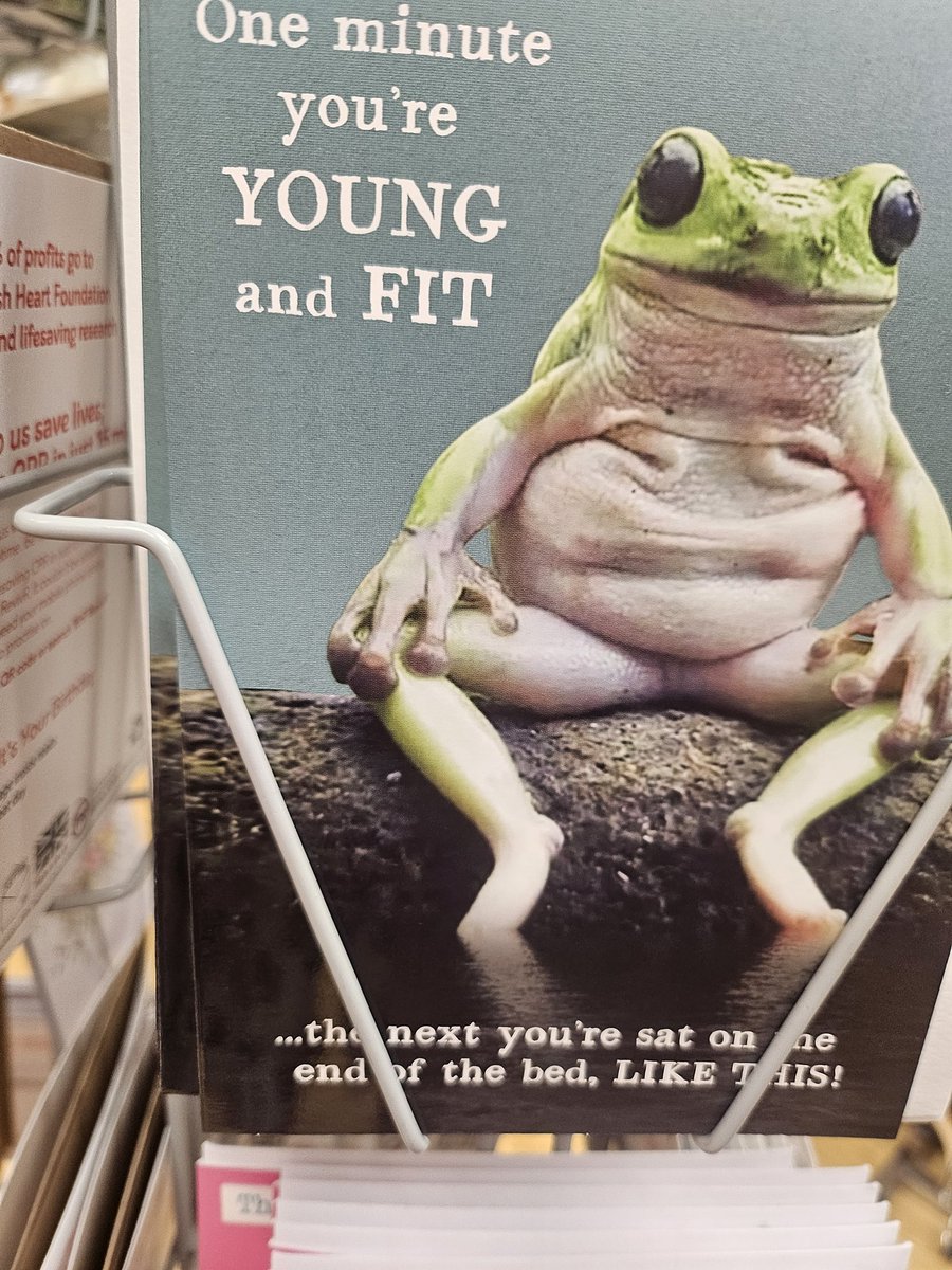 Why did my daughter just point this out to me in a shop...p.s this is a rhetorical question...please don't actually answer 🤣🤣