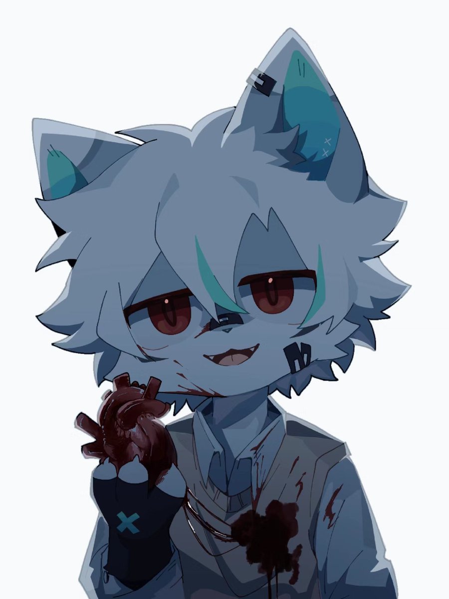 生鱼片FILLET tweet media