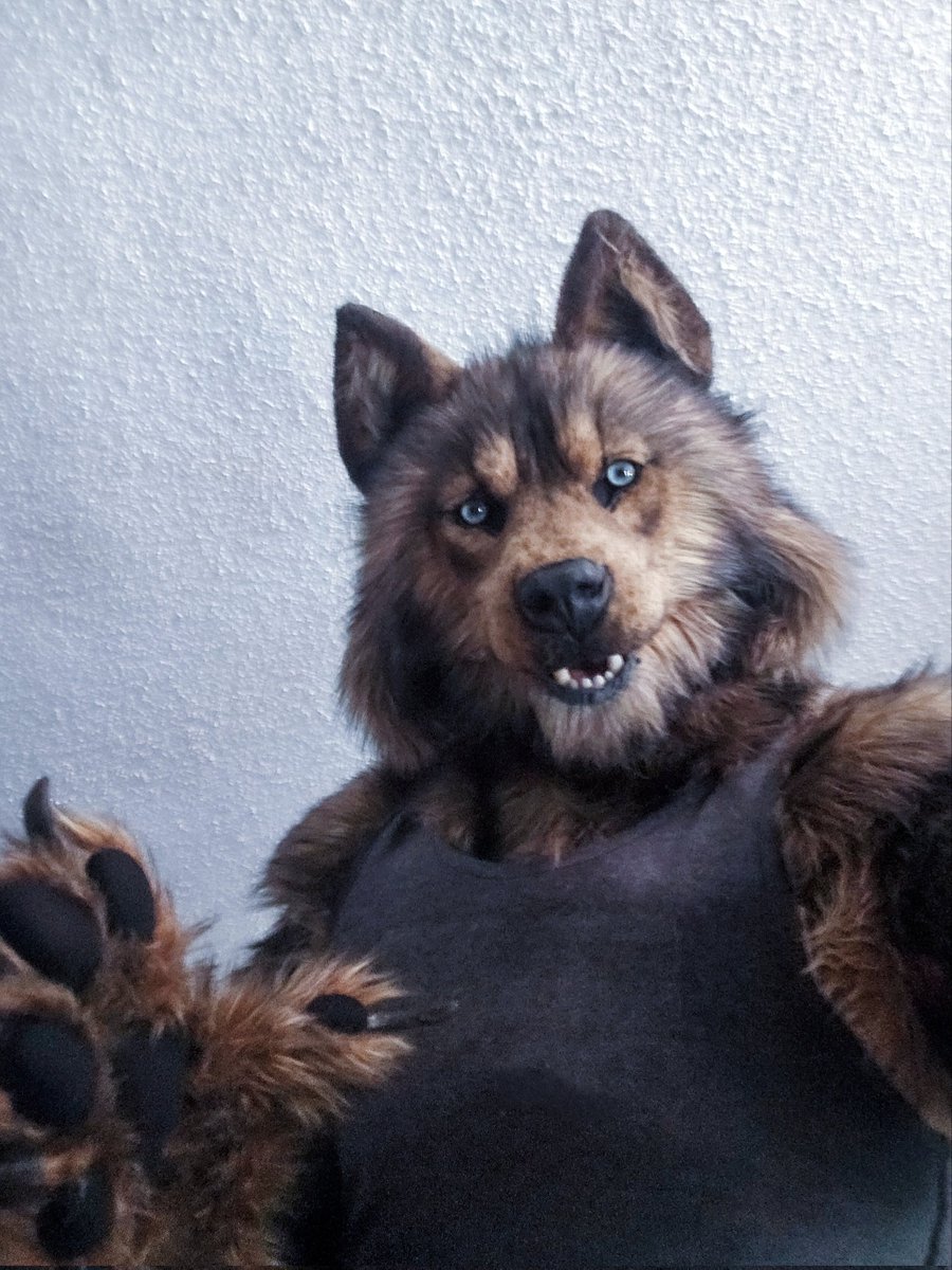 Hey! Just here to remind you August 13th is 🐺International Wolf Day🐺!

Let’s honor our wild kin today!  May they thrive in freedom and remain undisturbed in their natural homes.