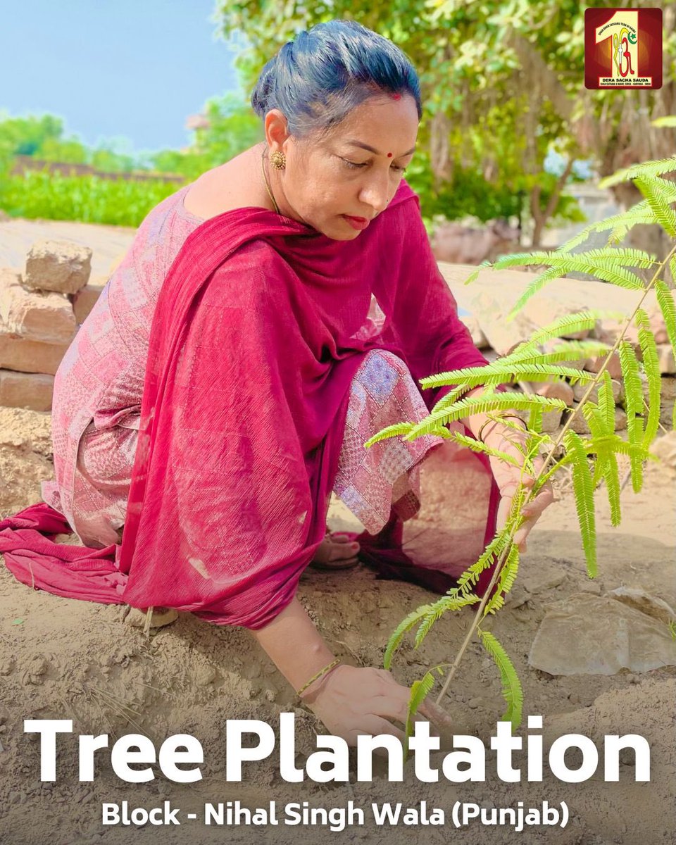 DSSNewsUpdates's tweet photo. "To plant a tree is to believe in tomorrow."🌱
In celebration of the birth month of Saint Dr. MSG Insan, Dera Sacha Sauda volunteers in Nihal Singh Wala, Punjab, planted saplings as a commitment to nurturing Mother Earth. Following his inspiring footsteps, they contributed to a greener and healthier planet for future generations. Remember, every tree planted is a step toward saving our Earth and securing our future! Let us all join hands in this vital mission! #TreePlantation #SaveEarth #EnvironmentalAwareness #DeraSachaSauda