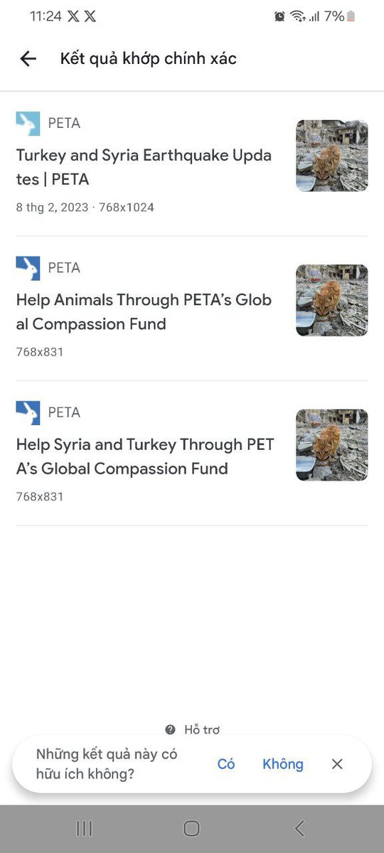 LeninUGReal's tweet photo. @CatizenAI :)) Is this charity? By copying a photo from 2023 https://t.co/lkjVnmSc9p