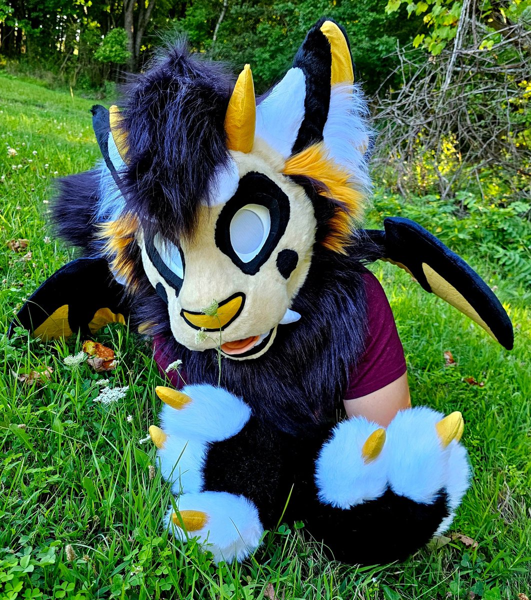 monster cat tweet media