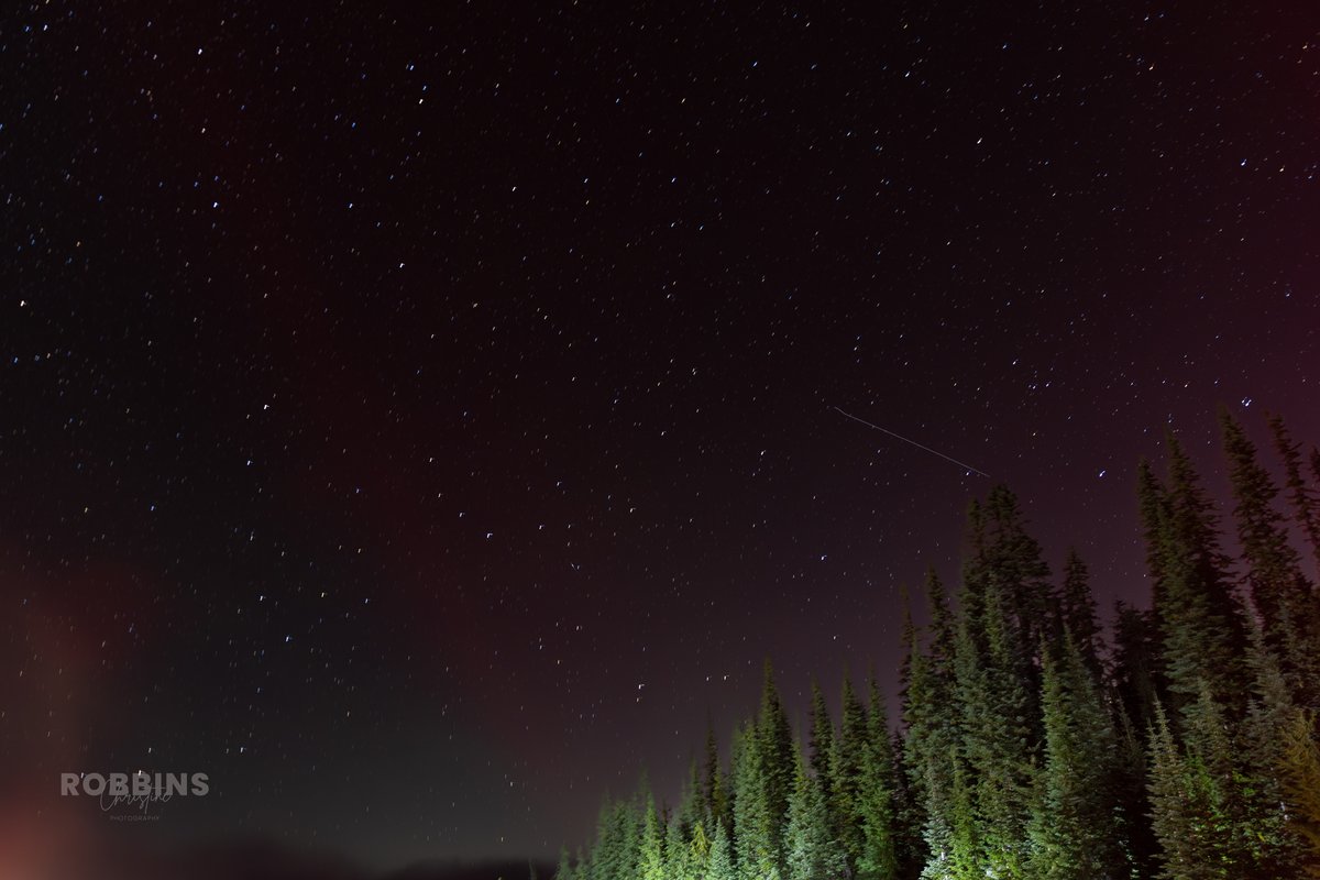 ForksFlash's tweet image. Went to @MountRainierNPS on Sun night into Mon morning to capture the #PerseidMeteorShower. Drove around the whole mtn in search of a no fog zone. Delighted to see the Aurora out! Got a couple of streaks in the sky and even spotted a bit of the Milky Way.