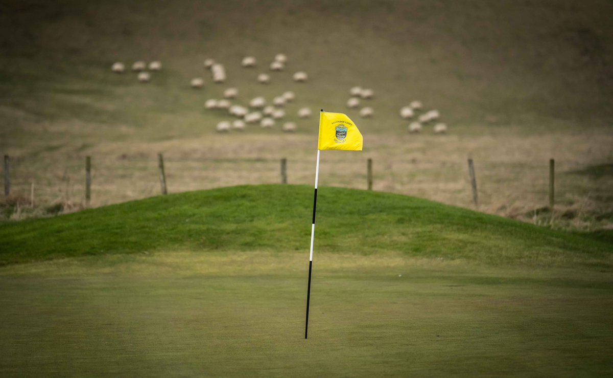 Patrick Koenig tweet media