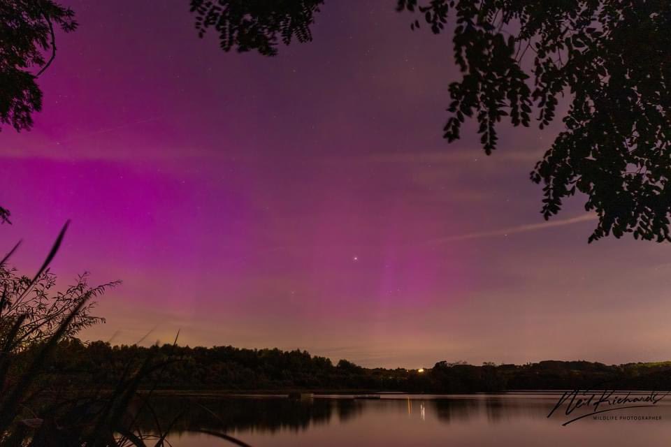 Little Marlow Lakes Country Park tweet media