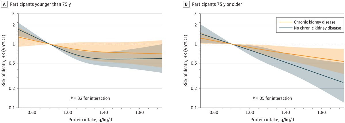 Will too much protein damage your kidneys?

Does protein shorten longevity due to its effects on mTOR?

Neither of these claims are supported by evidence.

In fact, a new study suggests that the opposite might be true — more protein leads to greater longevity, even for people