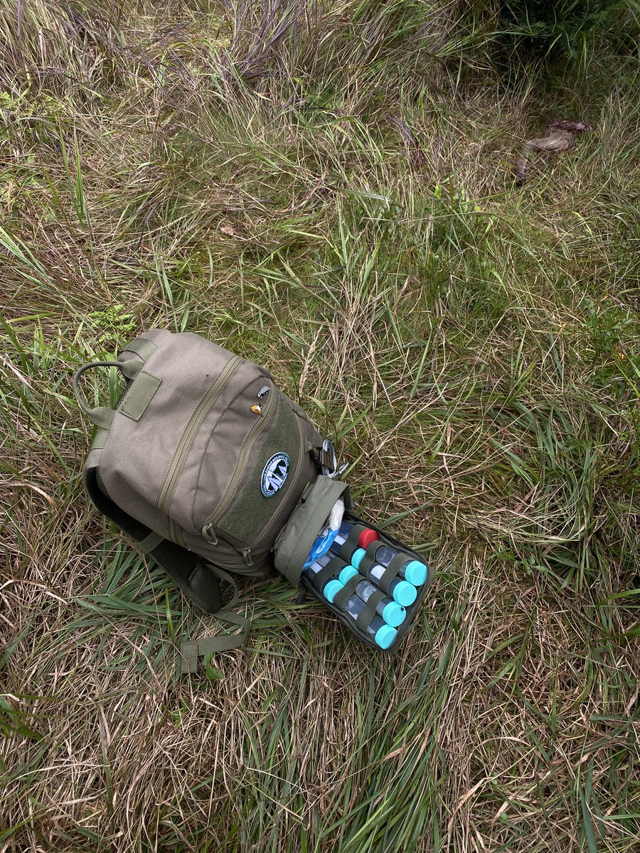 MashaGulak's tweet photo. Happy International Wolf Day! 🐺 

I’ve been deep into summer fieldwork investigating activity from collared wolves in various parts of 🇨🇿!

Feeling incredibly lucky every day ✨
📸💩🦌🧬

#wolfresearch #fieldwork #spatialecology #dietanalysis #InternationalWolfDay https://t.co/T7W1q69zoB