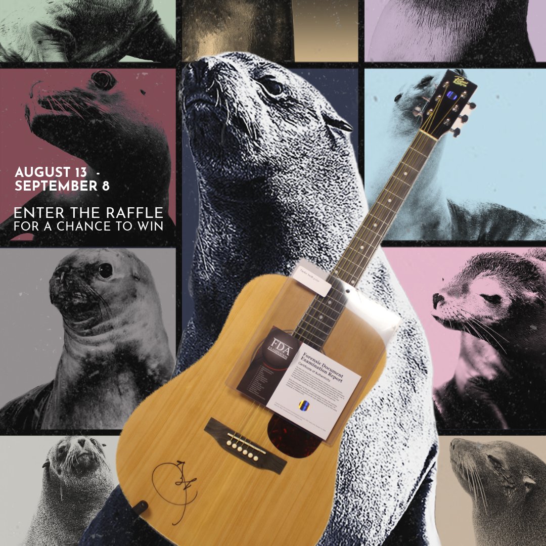 We are now in our raffle era with this signed guitar from Taylor Swift! ✨ Enter the raffle at the link in our bio for a chance to win on September 8, 2024. The raffle will be broadcasted live from our Instagram and Facebook, where the winner will be announced.