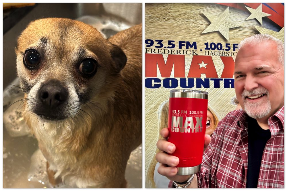 Jack Diamond Show tweet media