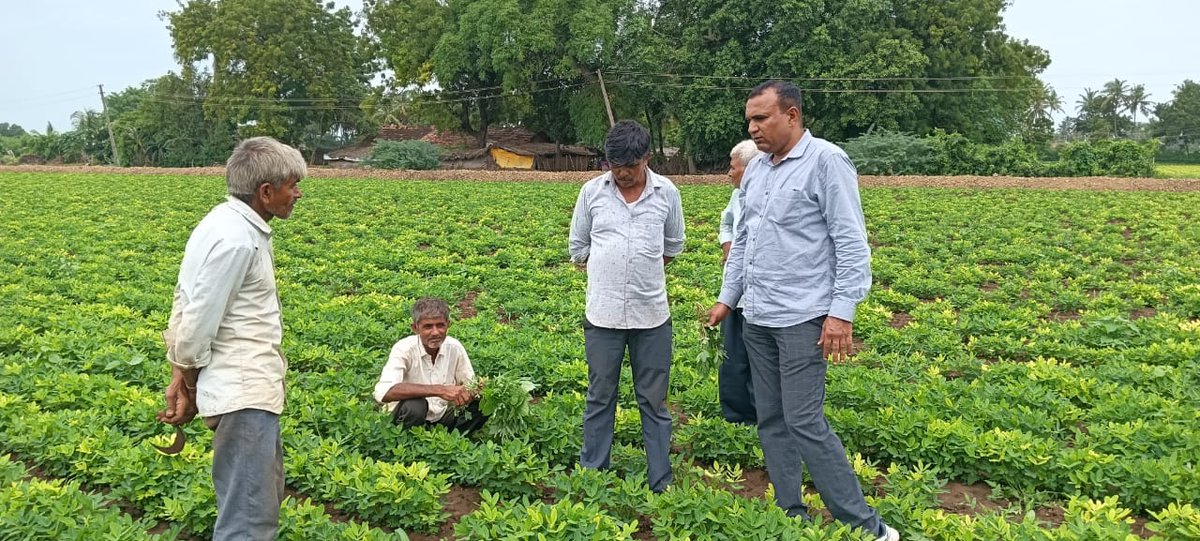GRAMSEVAKBVNGUJ's tweet photo. આજે તળાજાના પીથલપુર ગામે એગ્રી સ્ટેક ડિજિટલ ક્રોપ સર્વેની કામગીરી અંતર્ગત ખેડૂત મુલાકાત કરી સ્થળ પર જ સર્વેયરને સર્વે માટે ડેમો બતાવવામાં આવ્યો આ તકે ગ્રામસેવક તેમજ પેટાવિભાગ કચેરીના મદદનીશ ખેતી નિયામકશ્રી હાજર રહ્યા હતા@DirectorateofA1 @Collectorbhav @BhavnagarDdo @Guj_Gramsevak https://t.co/x0WWEE5Cx7