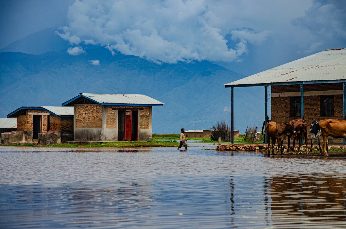 OCHAROWCA's tweet photo. 🚨🌧️ Over 700,000 people across West and Central Africa have been affected by severe flooding so far in 2024.

Urgent investments in preparedness, prevention, and response are needed to mitigate the devastating impact on livelihoods.

▶️ More details: https://t.co/N9IPiy24k7 https://t.co/72PqswNCEP