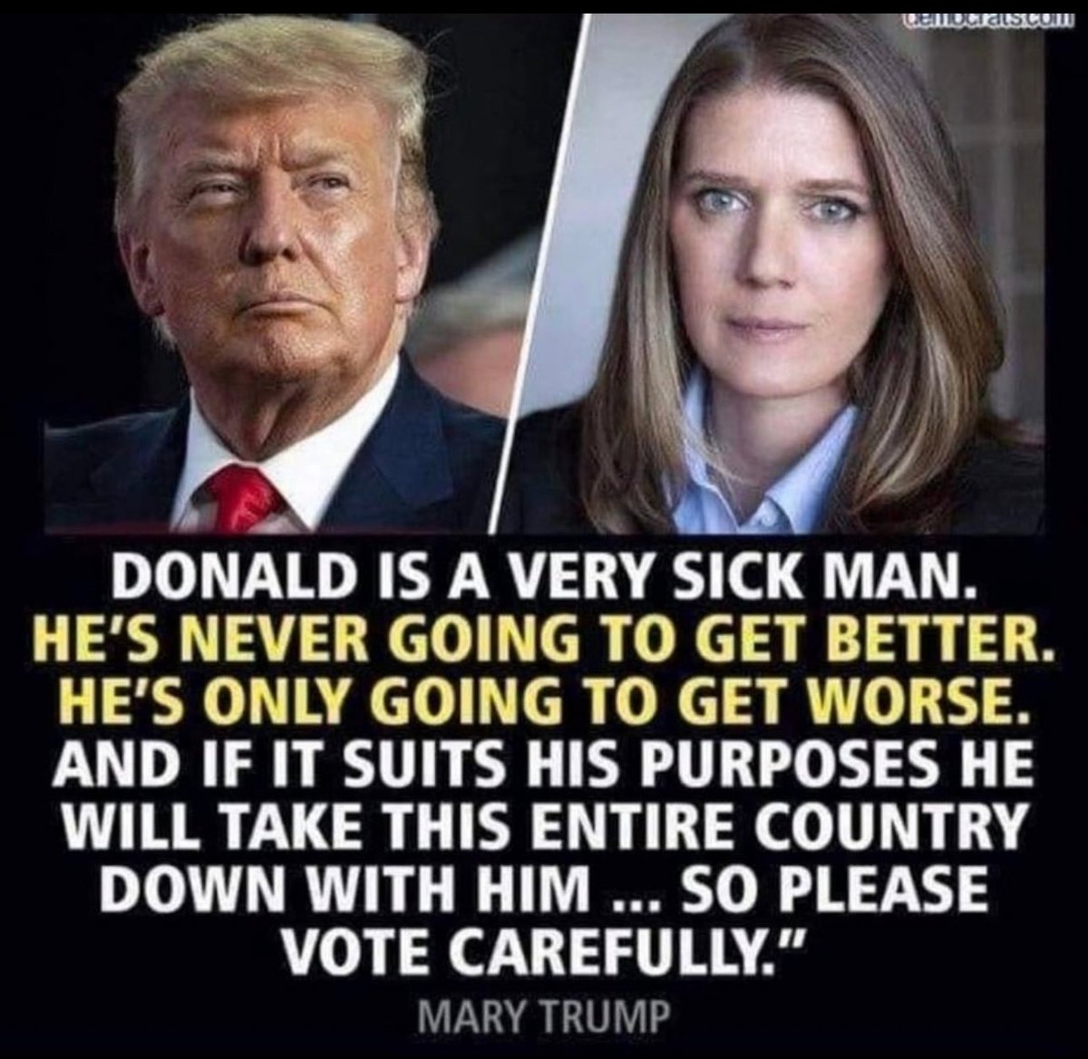 kangaroos991's tweet image. 🎯 Raise a ✋ if you think he's UNFIT to be Commander in Chief! 

#WeAreNotGoingBack #KamalaForPOTUS