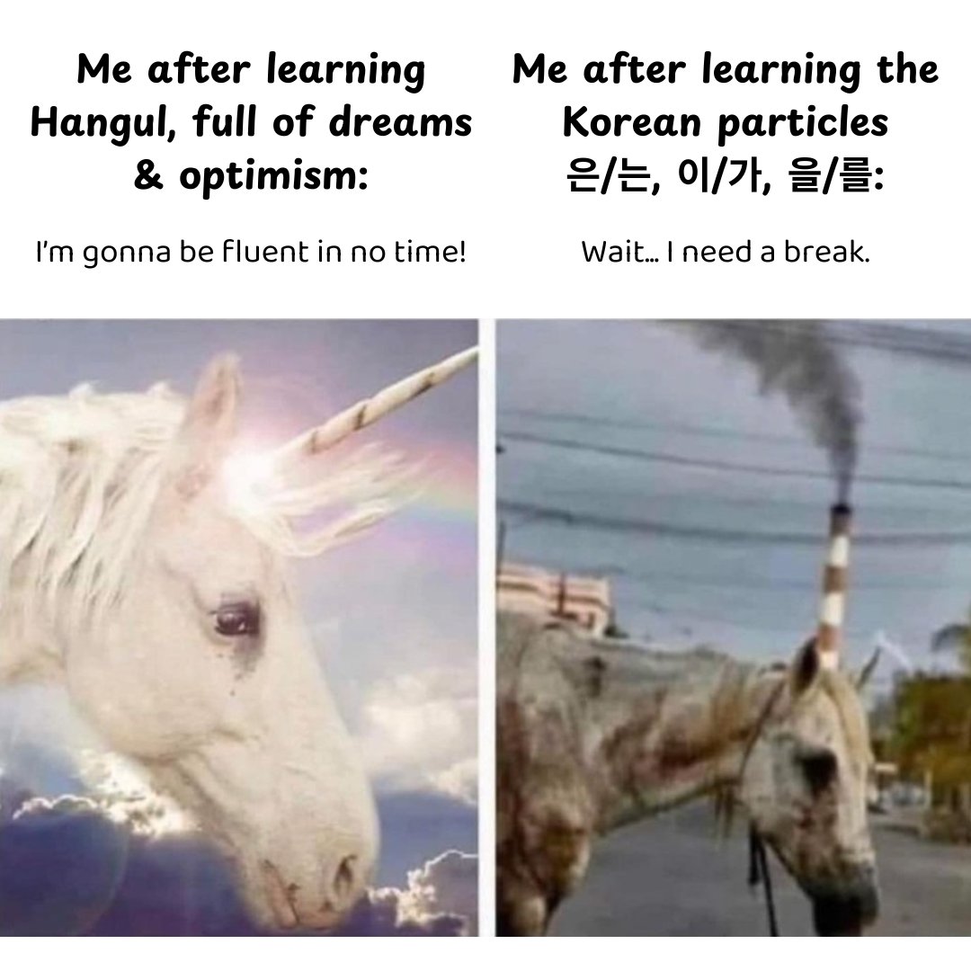 KoreanStudyCafe's tweet photo. Have you ever felt like a language-learning superstar after mastering Hangul? 📷
Whether you’re just starting out or knee-deep in grammar, remember—you’re not alone in this wild ride! 📷

#langtwt #LanguageLearning #koreanlanguage https://t.co/BdBu9G3TXw