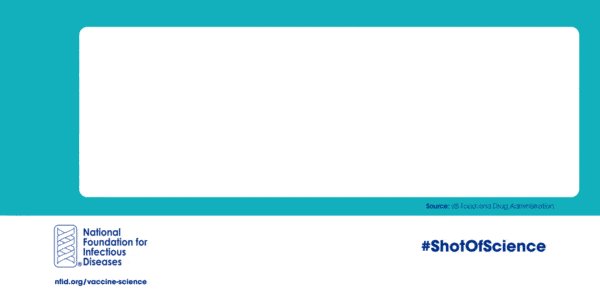 ImmKSCoalition's tweet image. #ShotOfScience via @NFIDVaccines: 3 phases of clinical trials ensure #vaccines are safe for public use nfid.org/vaccine-science
