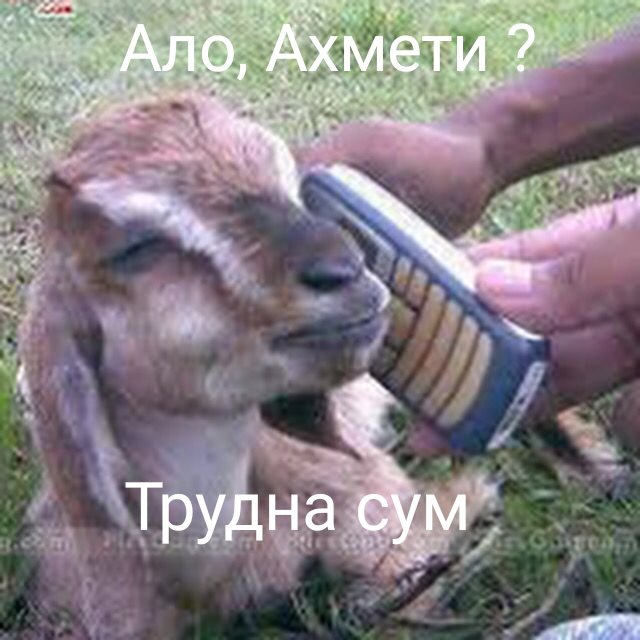 По повод изјавата на шизофреничарот