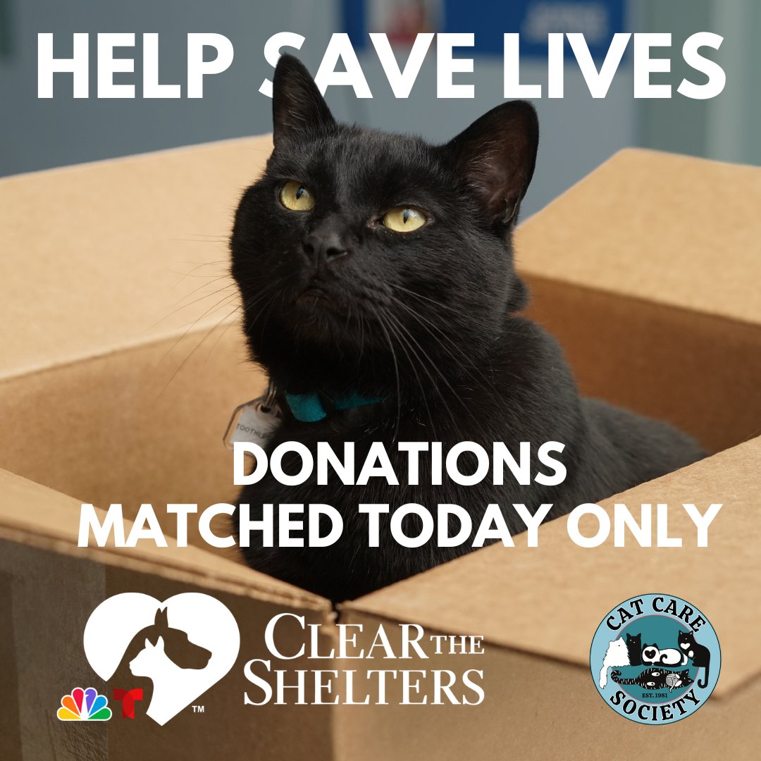 We need your help to earn more money from <a href="/ClearTheShelter/">Clear the Shelters</a>! Starting RIGHT NOW, <a href="/HillsPet/">Hill's Pet Nutrition</a> is matching all donations up to $10k for shelters across the country, meaning your funds go twice as far! 🌟😻

Donate ASAP: donate.clearthesheltersfund.org/page/CatCareSo…

#ClearTheShelters #AmplifyTheGood