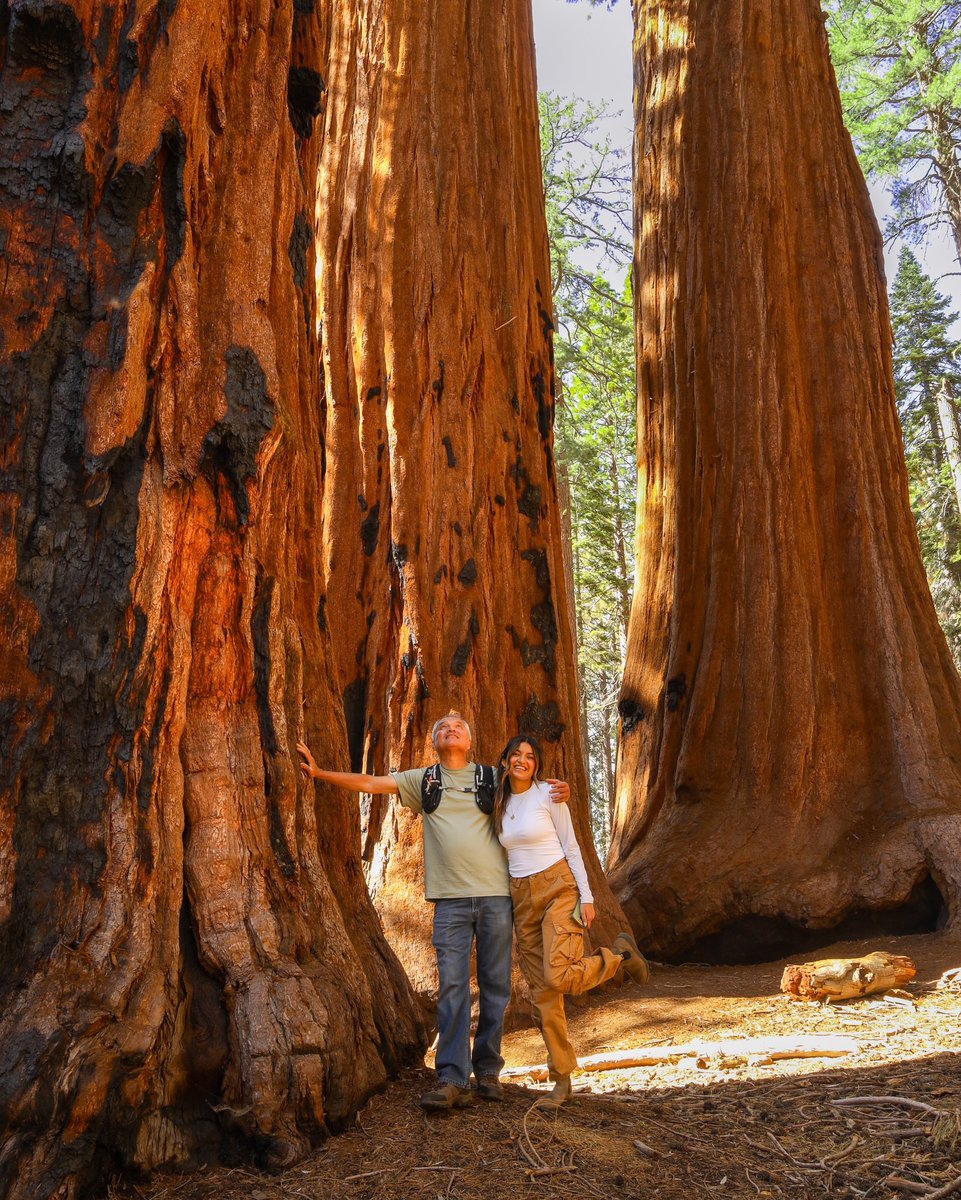 Sequoia Tourism Council (@sequoiatourism) on Twitter photo There is nothing quite like walking amongst the giants.
📸: <a href="/_caroliiime/">Yazmin Valdez</a>
#sequoianationalpark #visitcalifornia #visitcentralvalley #explore #nationalparks #nationalpark #kingscanyonnationalpark #getoutside There is nothing quite like walking amongst the giants.
📸: <a href="/_caroliiime/">Yazmin Valdez</a>
#sequoianationalpark #visitcalifornia #visitcentralvalley #explore #nationalparks #nationalpark #kingscanyonnationalpark #getoutside