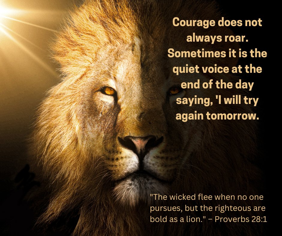 peacefulsteph's tweet image. True strength is found not only in the roar but also in the gentle resolve to keep going. Remember, courage sometimes speaks softly, urging us to rise and try again tomorrow.
#DocSteph