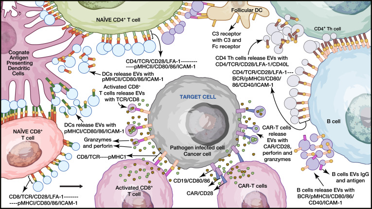 Waggoner Lab tweet media