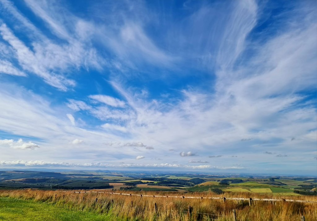 Dr Sarah Moseley tweet media