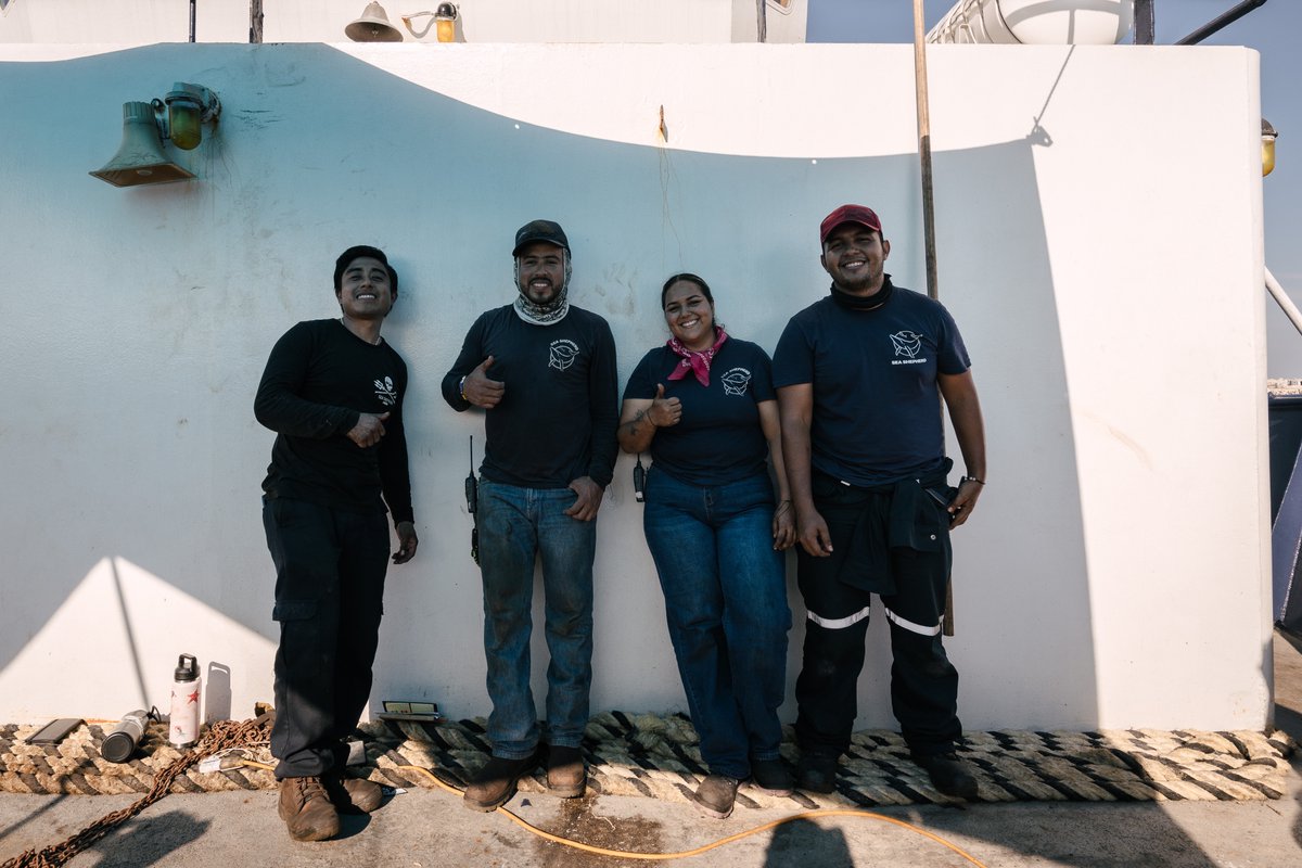 SeaShepherdSSCS's tweet image. Not everyday is jam packed with net pulls and poachers, but that’s a good thing for wildlife; everyone gets a break.

Our crew catches up on chores, maintenance, phone calls, paper work, and adulting.

seashepherd.org

#crewlife #saltycrew #boatlife