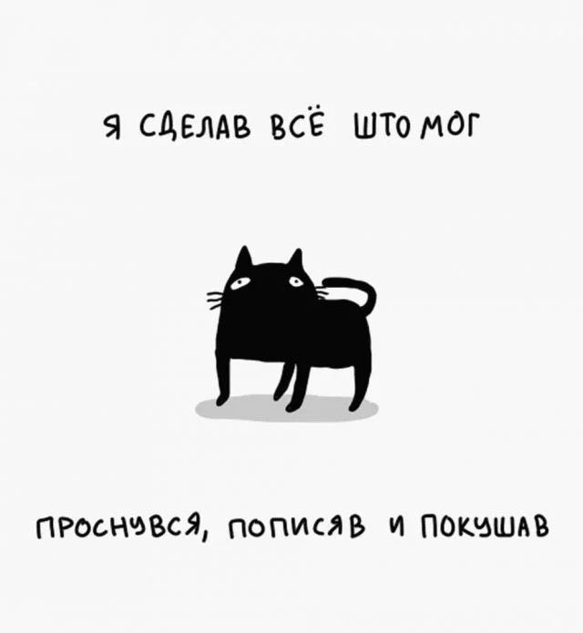 Ставь плюсик