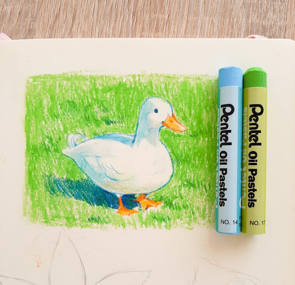 Round duck 🦆 
Playing with oil pastels!
