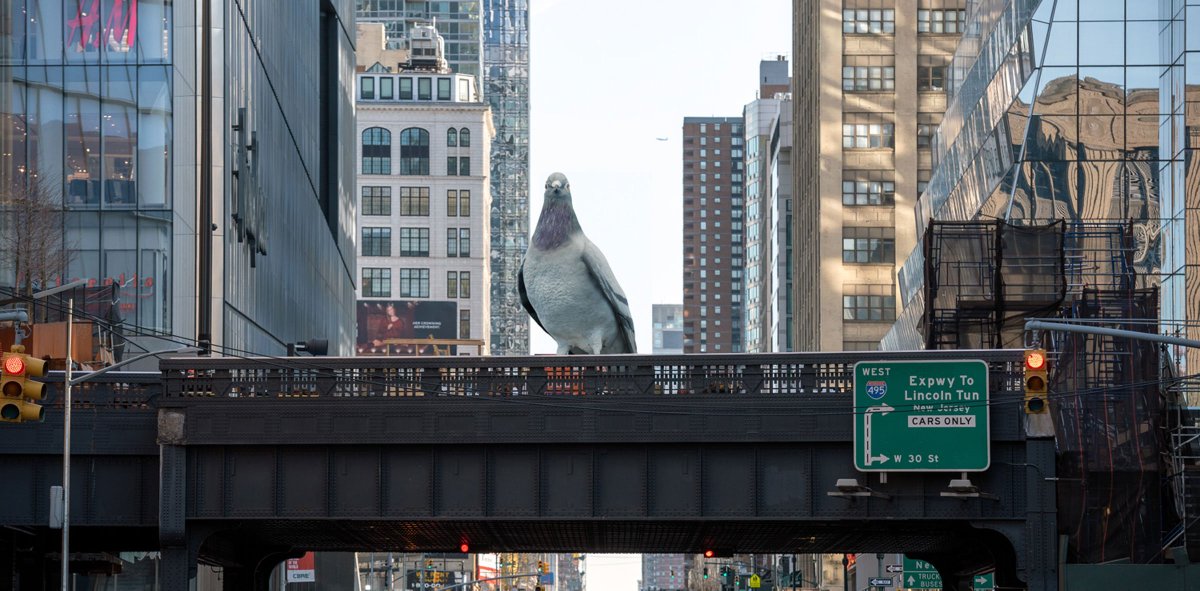 Mark McClure tweet media