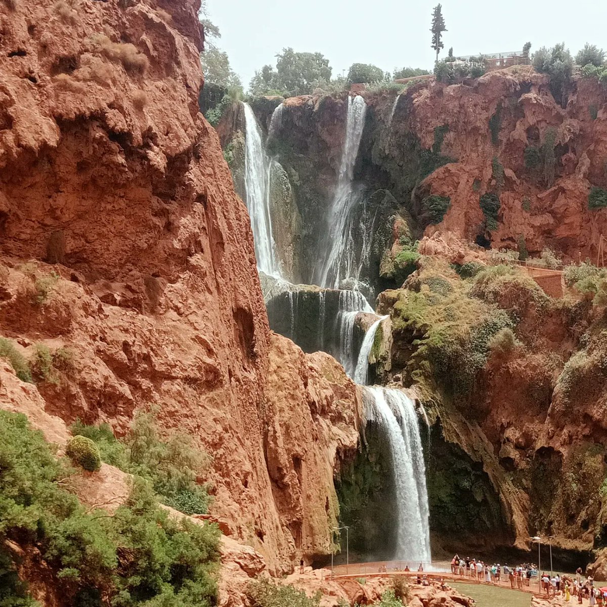 Ouzoud Waterfalls are one of Morocco's most stunning natural attractions, located in the High Atlas Mountains. They are among the tallest waterfalls in the country, with a height of about 110 meters (360 feet). 

The area around the falls is known for its breathtaking scenery🔥
