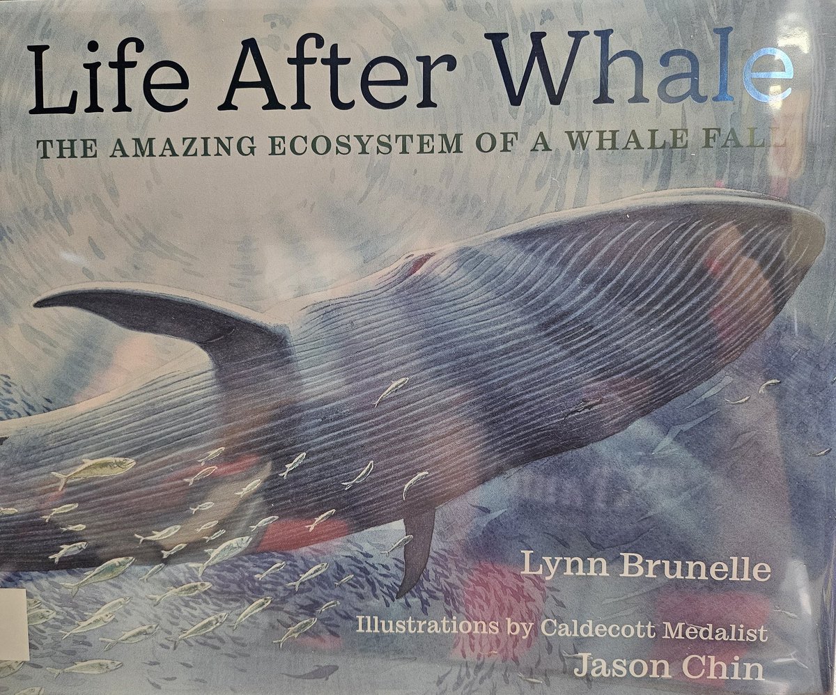 Did you know that Blue Whales support life for 150 years after they have died? Perfect for grades 2 &amp; up regarding food cycles, ecosystems, death, blue whales, &amp; ocean life. #BPSReads24 <a href="/WestMapleEle/">WestMapleEle</a>