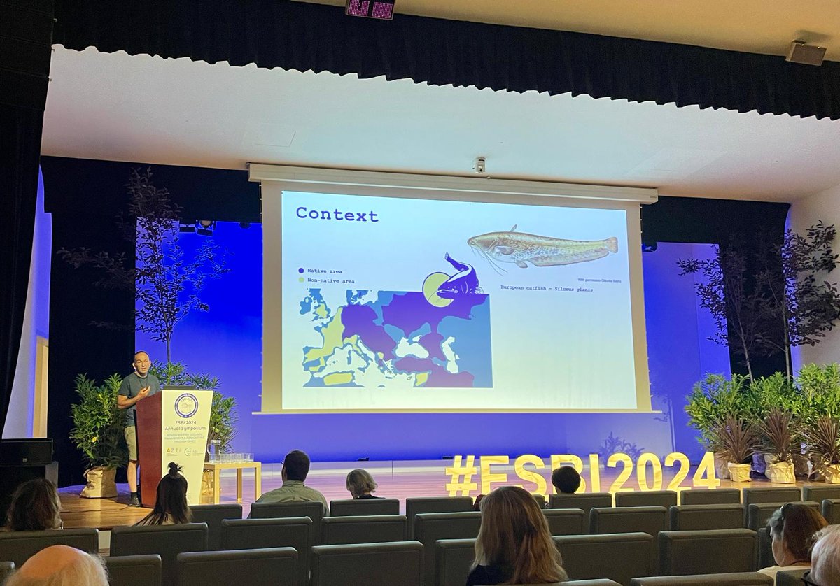 FishInvasionLab's tweet image. Last month, I had the chance to present at @fsbi_symposium, organized by @naiara_re and @azti in Bilbau. The european catfish predates nearlly all the fish species in the lotic section of the Tagus River. A project lead by @MAREscience #megapredator and funded by @fct_pt
