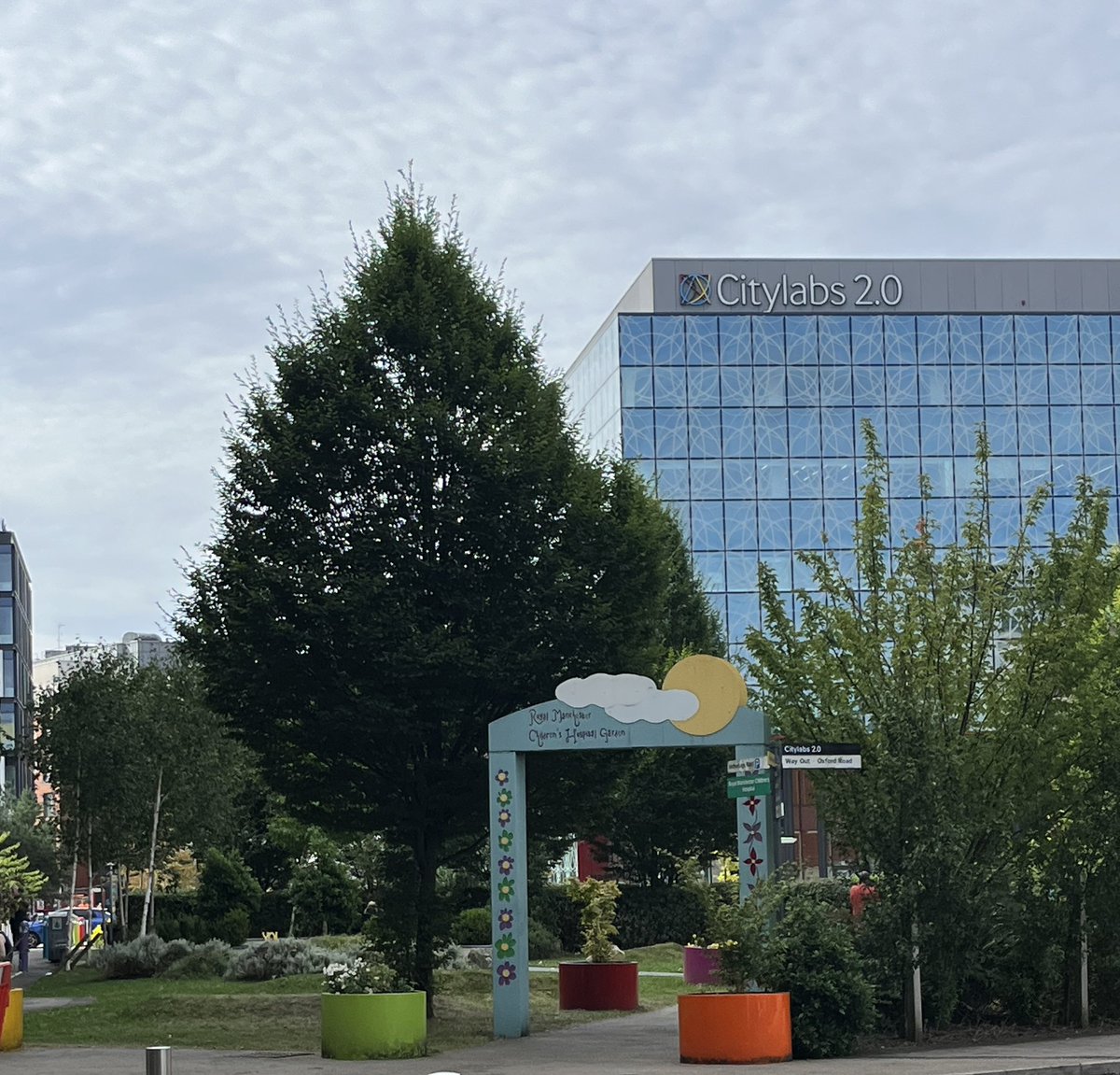 NWCHDNetwork tweet media