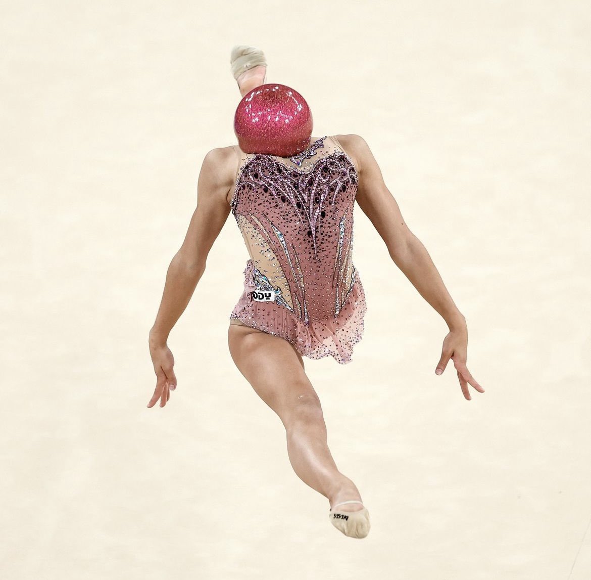 anna 🪽 tweet media